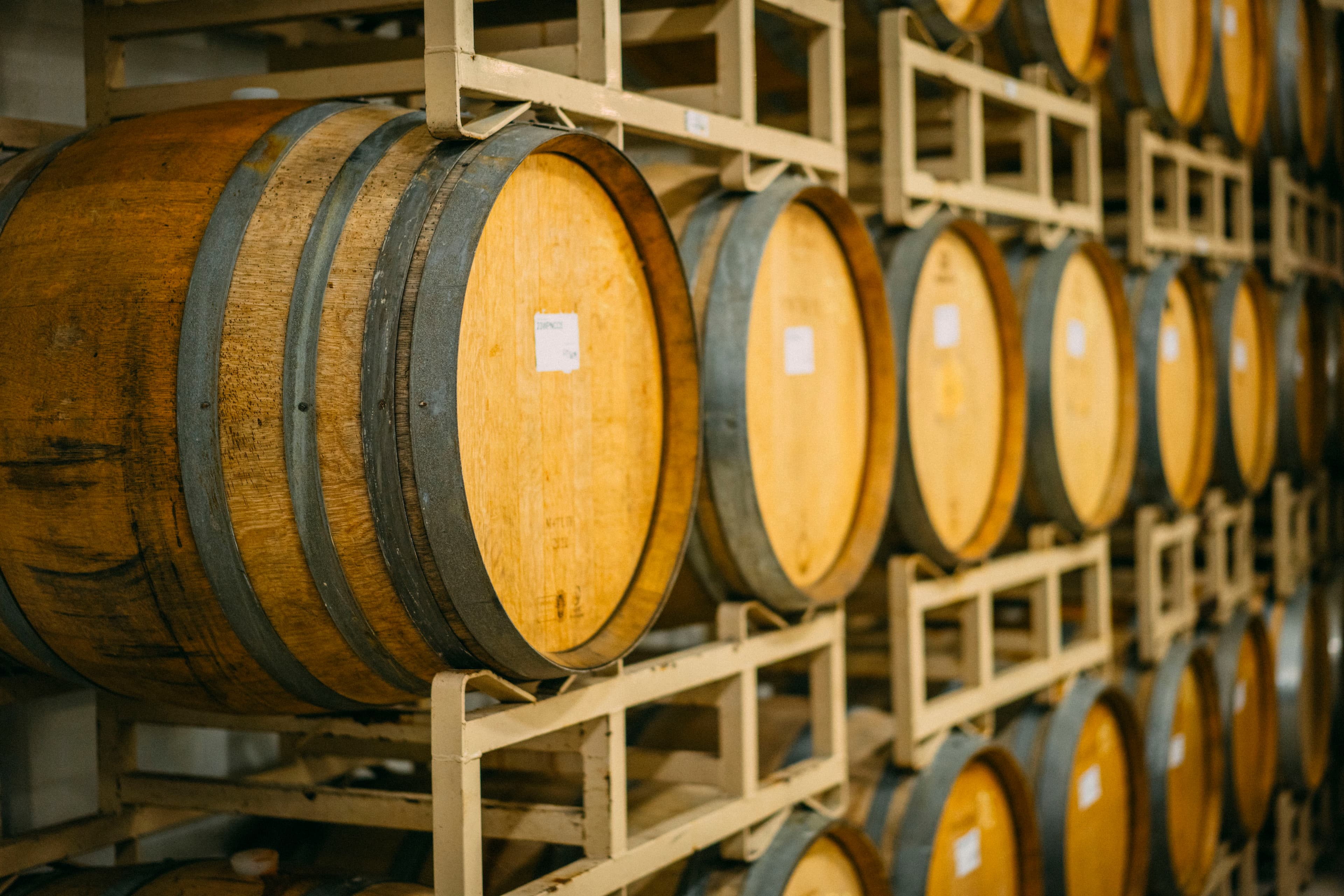 winery-team-1885